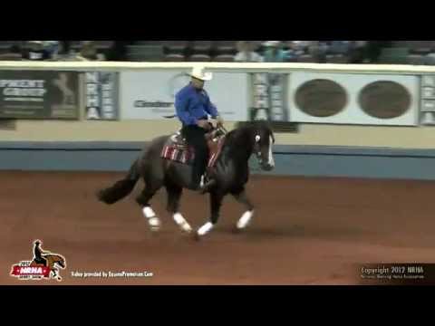 2012 NRHA Open Derby Res. Champion Tinker With Guns & Andrea Fappani