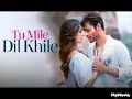 Tu Mile Dil Khile Stebin Ben Asees Kaur Larissa B Lijo G Dj Chetas Latest Hindi Song 2023