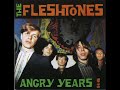 the Fleshtones - Killing by degrees