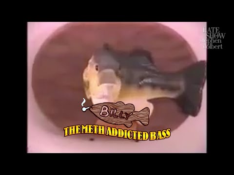 Billy The Meth Addicted Bass!