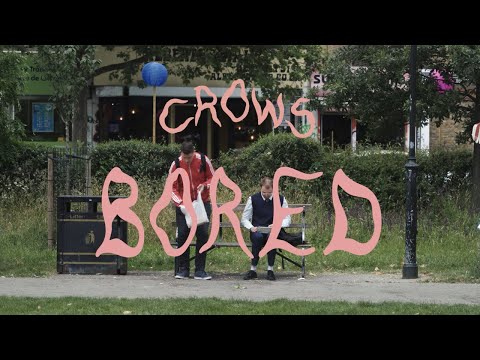 Crows