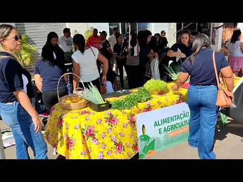 Conheça a feira de verdejante Pernambuco