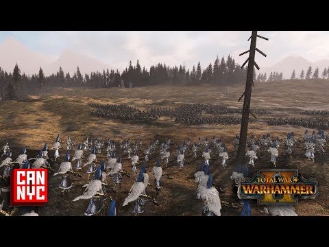 White Lions of Chrace vs. Black Ark Corsairs [Total War: Warhammer II]