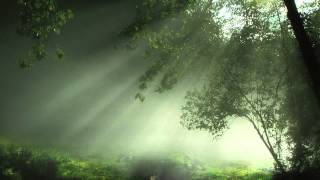 Collabro's Over the Rainbow