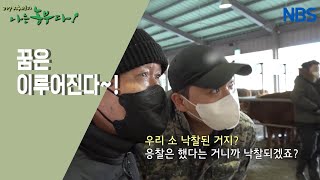 [으라차차 내 꿈은 축산왕] 우시장 열리던 날~