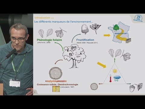 Les réponses observées des arbres aux variations du climat (croissance, phénologie, fructification)