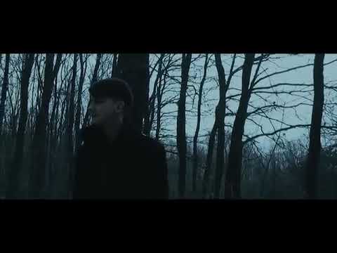 Bronx feat fenia - Lupul singuratic (official video)