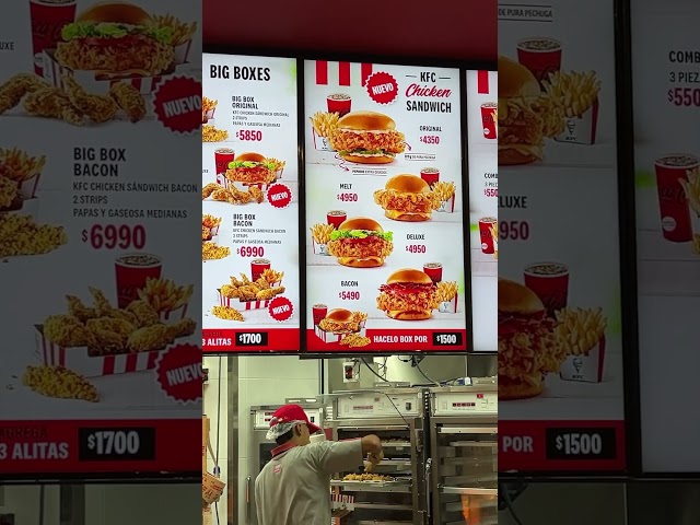 Vídeo relacionado con KFC Chicken Box Meal - Juego de Juguetes para Perros de 3 Piezas, Caja de Pollo, Papas Fritas y refrescos, Divertidos Juguetes de Peluche interactivos con temática alimentaria para Perros medianos y