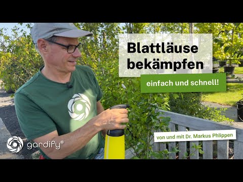 Fight aphids - the best home remedy quickly mixed in the practical hand sprayer.