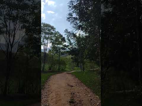 Caminhada pelo sítio no Povoado do Bananal Santa Rita de Jacutinga Minas gerais
