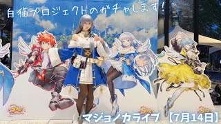 【白猫プロジェクト】久しぶりに配信新ガチャ！