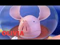 Olivia Travels To Space Olivia The Pig Full Episode