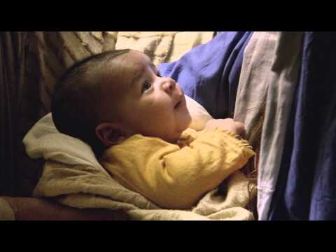 PRESENTATION IN THE TEMPLE