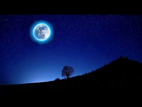 Sonido de grillos bajo el cielo estrellado - Sonidos de la naturaleza - Hermoso y relajante