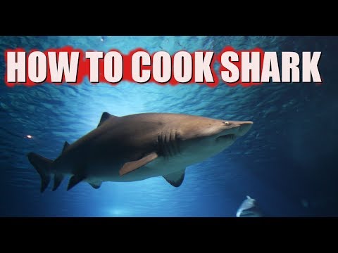 download lagu mp3 mp4 How To Cook Shark Steaks On The Stove, download lagu How To Cook Shark Steaks On The Stove gratis, unduh video klip How To Cook Shark Steaks On The Stove