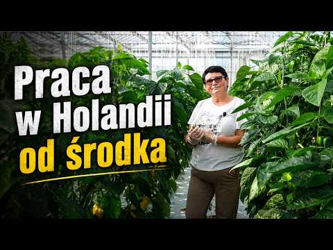Video preview: Seedling Production Worker – seasonal job