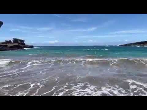 Red lotus @priyarbslnnstagram# red lotus 505YouTube # red Lotus