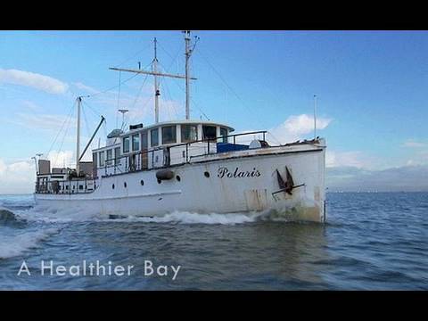 Saving the Bay - A Healthier Bay