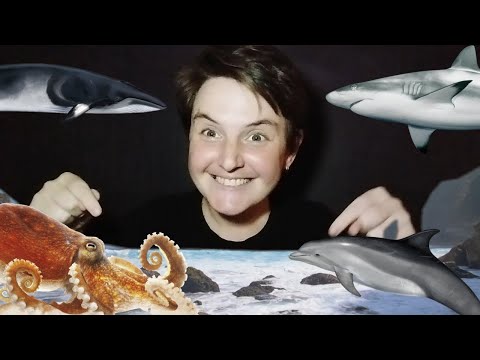 How to Sign Ocean Bottom in Auslan