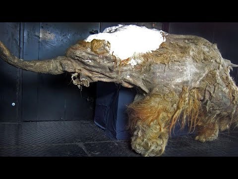 Mysteriöse Dinge, die in Eis gefroren waren