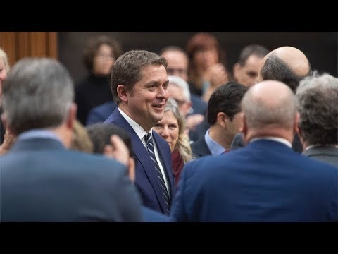 Opinion A bad day for Scheer could mean a brighter future for the Tories