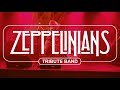 Led Zeppelinians ( Led Zeppelin Tribute)