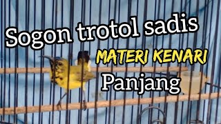 Download lagu Sogok ontong trotol sadis materi kenari panjang... mp3
