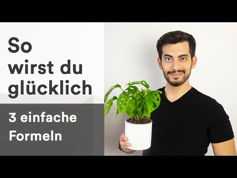 The formula of happiness I eres