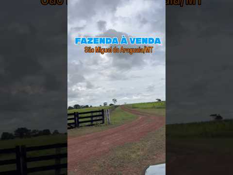Fazenda à venda São Miguel do Araguaia/MT. Para mais informações: JpAgroBridge (69) 99392-7957