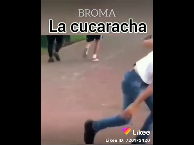 Vídeo relacionado con Eléctrico para Insectos: Cucaracha Y Araña Realistas con Vibración | Juego De Artículos De Broma Espeluznantes para Bromas Chistes. para Gatear Que Funciona con Pilas para Niños Ad