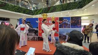 山鹿燈籠舞I 2024年01月27日 #熊本熊也是座上嘉賓#熊本熊#くまモン#Kumamon#酷MA萌