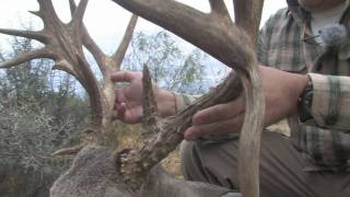 preview picture of video 'HUGE SOUTH TEXAS  WHITETAIL HUNT'