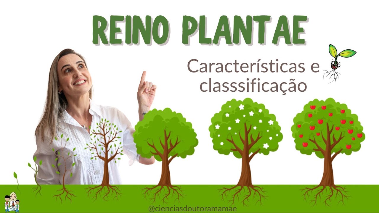 Reino Plantae: Características e classificação das plantas