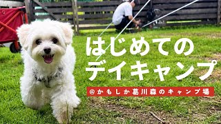 【犬連れキャンプ】愛犬と4歳娘、初キャンプでテンションMAX！川遊びも満喫