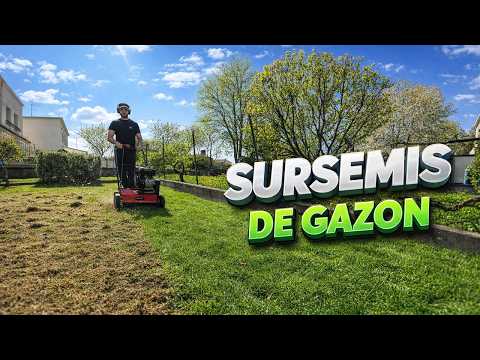 Remise en forme d'un jardin en mauvais état, préparation pour le printemps