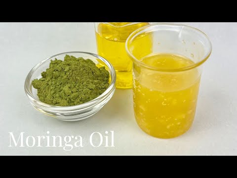 Moringa Seed Oil - Also Known as Ben or Benhen Oil