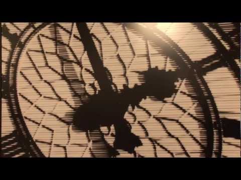 Tribute to "Art Basel"  Sant Moritz Art Masters press presentation 2010 by FashionChannel