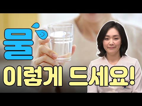 물 대신 차를 마시는 최고의 가이드