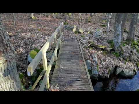 SKÄRSJÖN - det som en gång var en badplats på sydöstra sidan - 2022-02-18 - RONNEBY - Blekinge