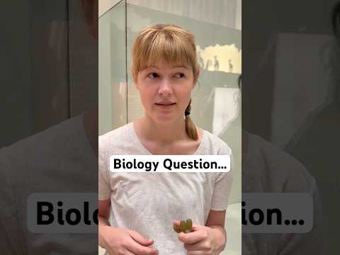 I know a lot about autism, but NOTHING about biology 😳 #autistic #neurodivergent #adhd #autism