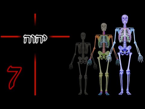 Jesus Christ 3773 & 888 everywhere in the human skeleton.