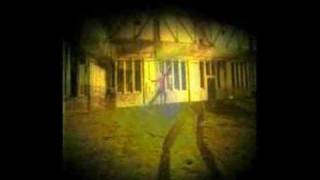 Molesta - Idź swoją drogą