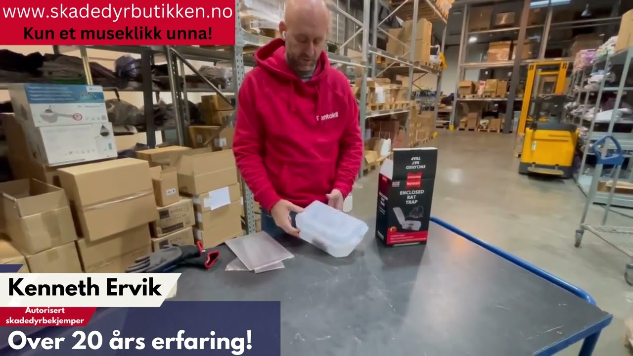 Rottefelle i låsbar sikkerhetsboks - 1 stk - Rentokil