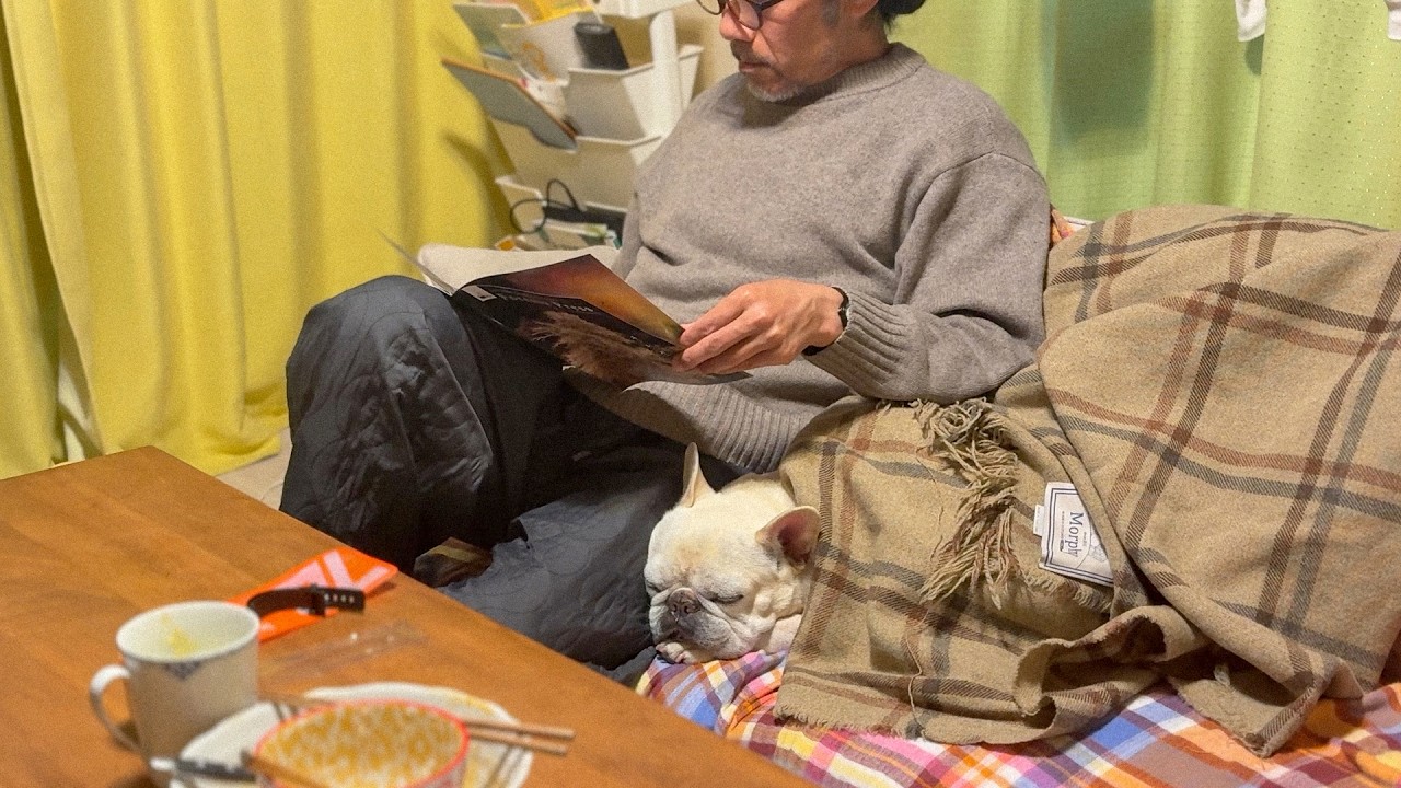 こうめさん12才 ゆっくりな春