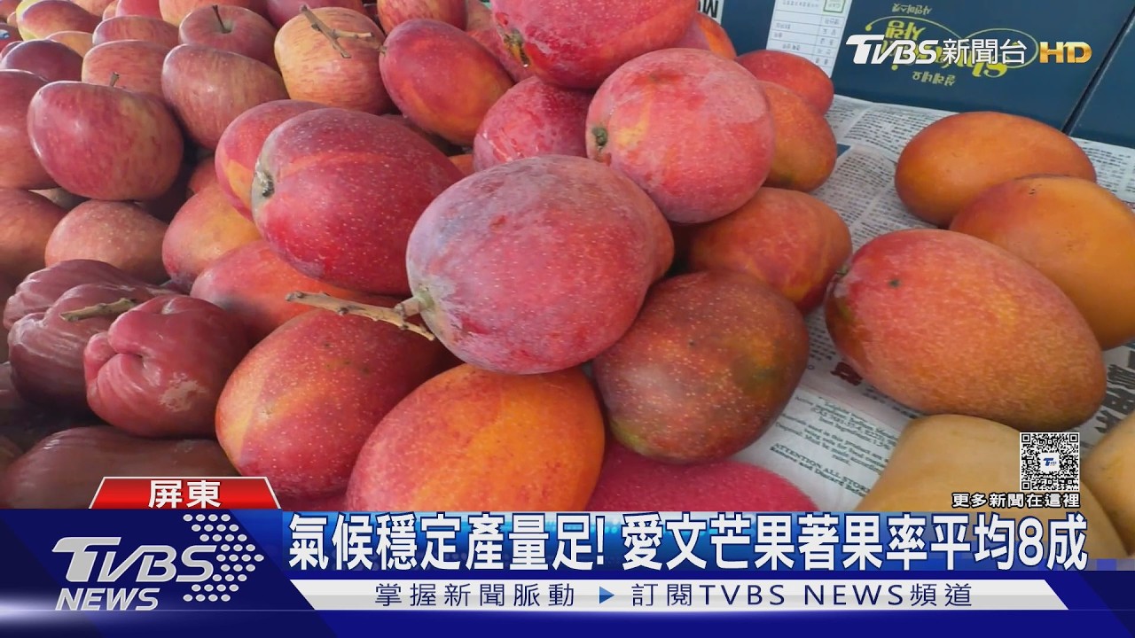 影音/有口福了!愛文芒果產量較去年翻3倍 量多價穩民眾大膽吃