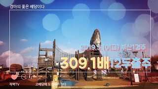 [복승식] 19년5월10일 부산경마1경주 베팅(1×4패턴) 공부