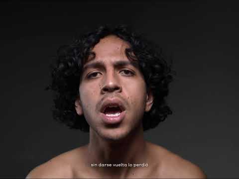 cap.vi. La Paradoja del Rey y el Matamoscas