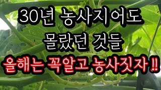 30년 농사지어도 몰랐던 양분의 이동성과 특성 #질소 #칼슘