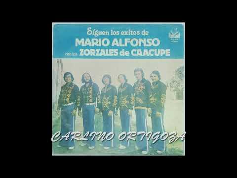 Nde Reconde Arambojha   Polca Juan R  Arzamendia   C  Alarcon