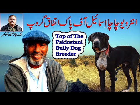 Top Class Bully Dog Lover | Interview Chacha Ismail | Top of Pakistan Bully Dog Breed By Nafa TV HD